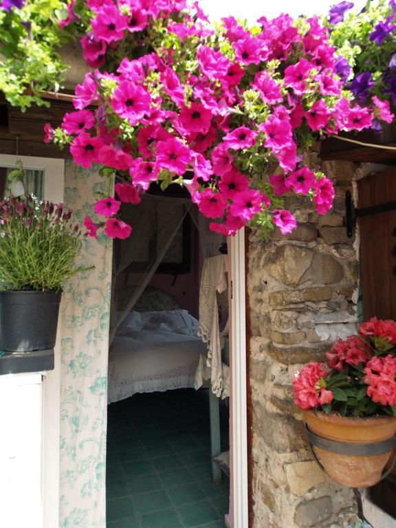 Le Petit Chateau Bed & Breakfast Долчеакуа Екстериор снимка